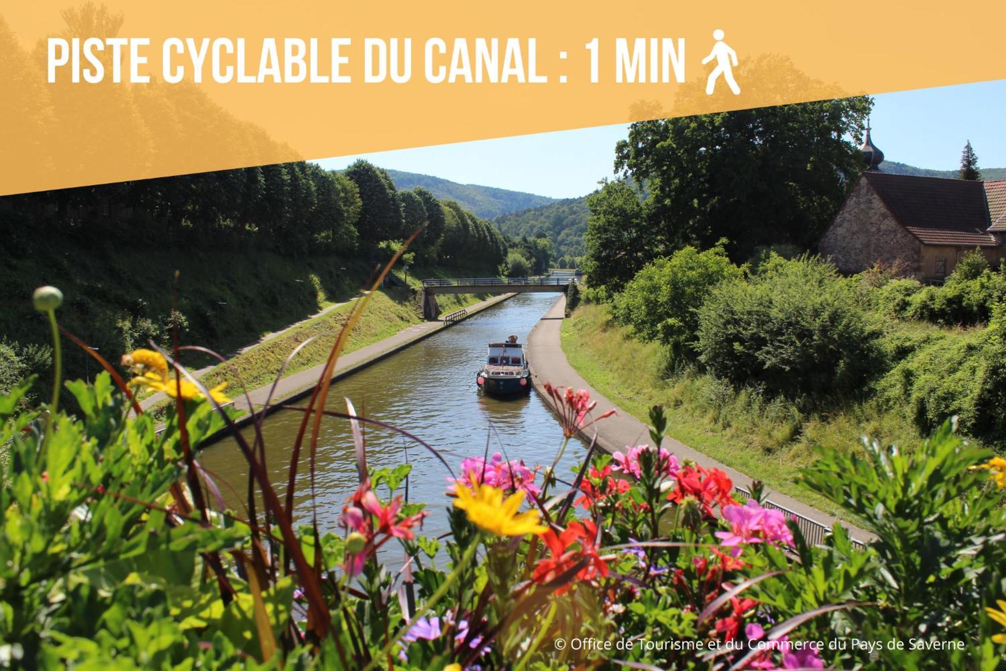 Les Rives Du Chateau, 90M2, Vue Sur Le Canal Saverne Exterior foto