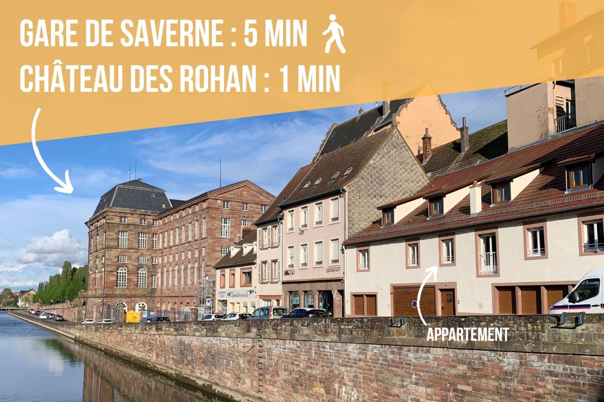 Les Rives Du Chateau, 90M2, Vue Sur Le Canal Saverne Exterior foto