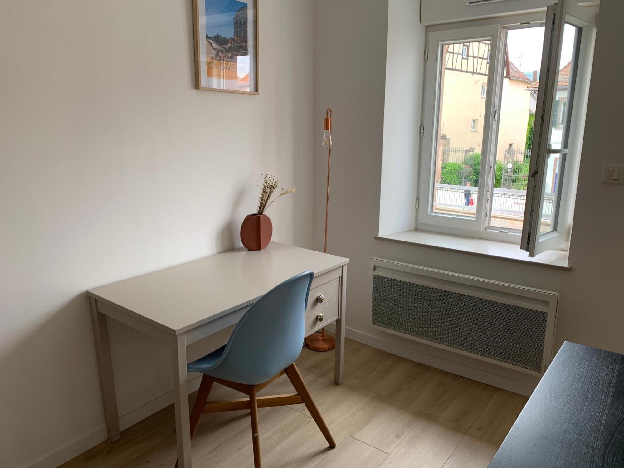 Les Rives Du Chateau, 90M2, Vue Sur Le Canal Saverne Exterior foto